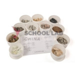 Class Rock Pack